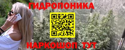 сатива Кандалакша