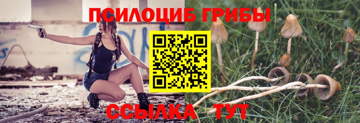 Галлюциногенные грибы ЛСД Красноярск