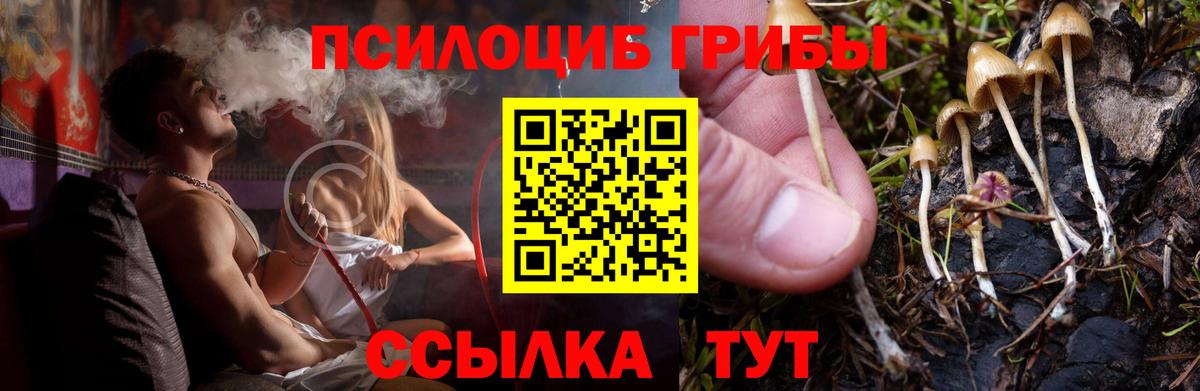 Красноярск  Галлюциногенные грибы MAGIC MUSHROOMS  Галлюциногенные грибы GOLDEN TEACHER  Вход с VPN 